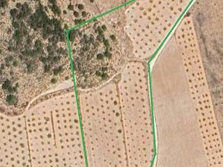 Finca rústica en Caserio los frailes 1. Terreno con gran potencial urbanizable a solo 10 minutos de pino