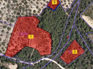 Fondo rustico in Desconocido 145. Finca 1,23 ha con olivos en el perelló (tarragona)