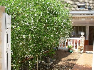 Haus in Florida 73. Benicàssim (castellón), chalé adosado de 4 plantas (a 900m. play