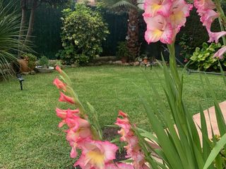Planta baixa a Avinguda can nicolau 0. Bajos con 110m de jardin, soleado, calefaccion, y parking