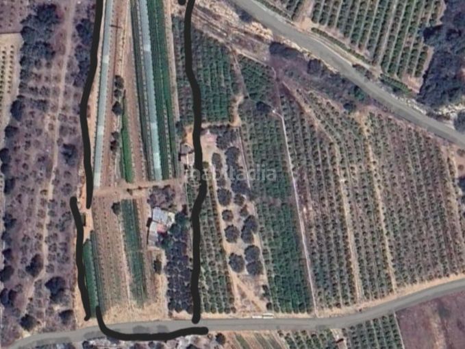 Foto 179c4d72-30e5-4867-b04b-fd23bc18c331. Finca rústica a partida calafes s/n a Alcanar