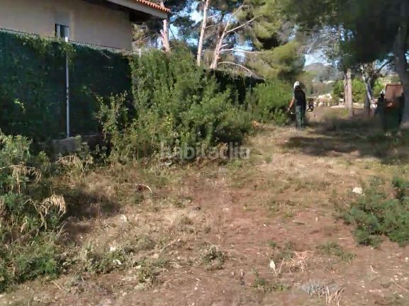 Foto 24129277-6ba7-4faf-9ad5-e3e93a2904a0. Terreny residencial a acacies 7 a Cunit residencial Cunit