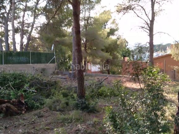 Foto 3dc83fda-dce6-4d0f-836c-1eacd36840a2. Terreny residencial a acacies 7 a Cunit residencial Cunit