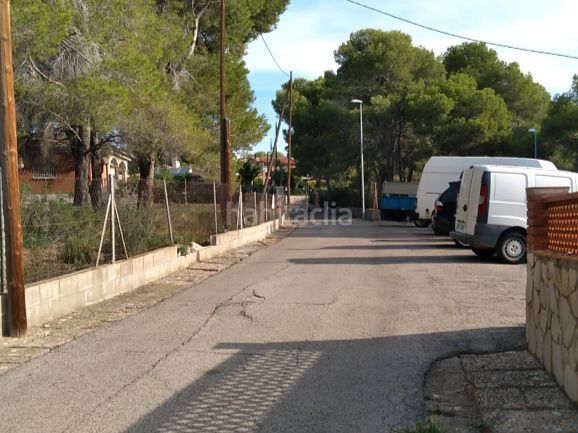 Foto 3fe0ce9f-b995-4e8c-94cb-90afccab4f0c. Terreny residencial a acacies 7 a Cunit residencial Cunit