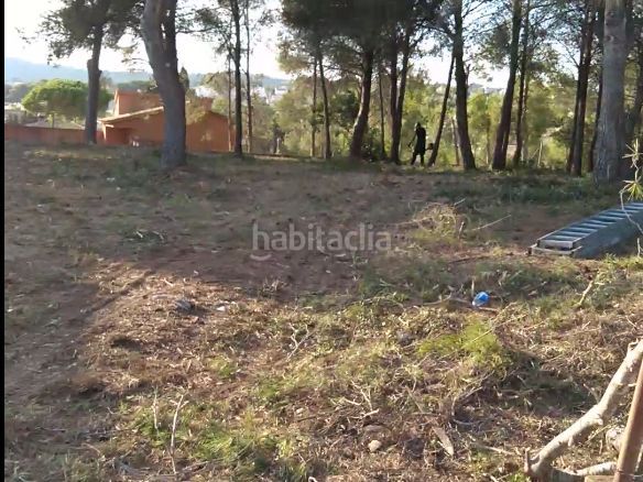 Foto e638ccc5-e94c-4454-8ea2-6fea2a07b51c. Terreny residencial a acacies 7 a Cunit residencial Cunit