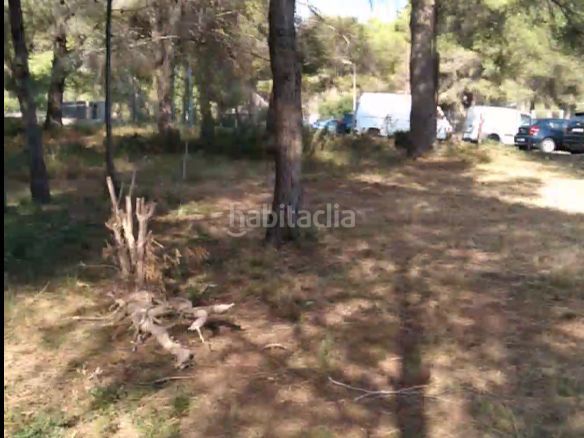 Foto eede2552-dc11-41a1-8476-ab3bd2553c88. Terreny residencial a acacies 7 a Cunit residencial Cunit