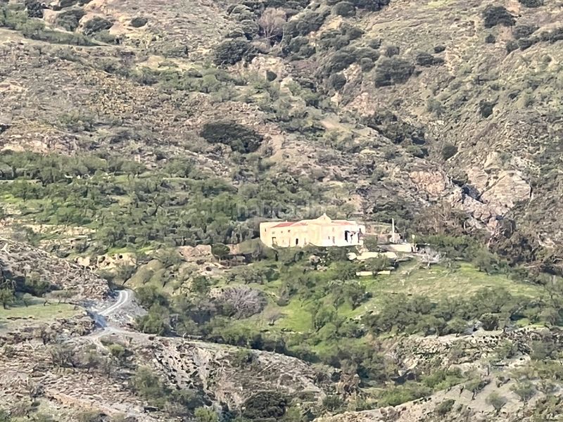 Foto 209701be-d6fb-4e55-a86a-6a12148ced29. Masia a real 10 a Rubite