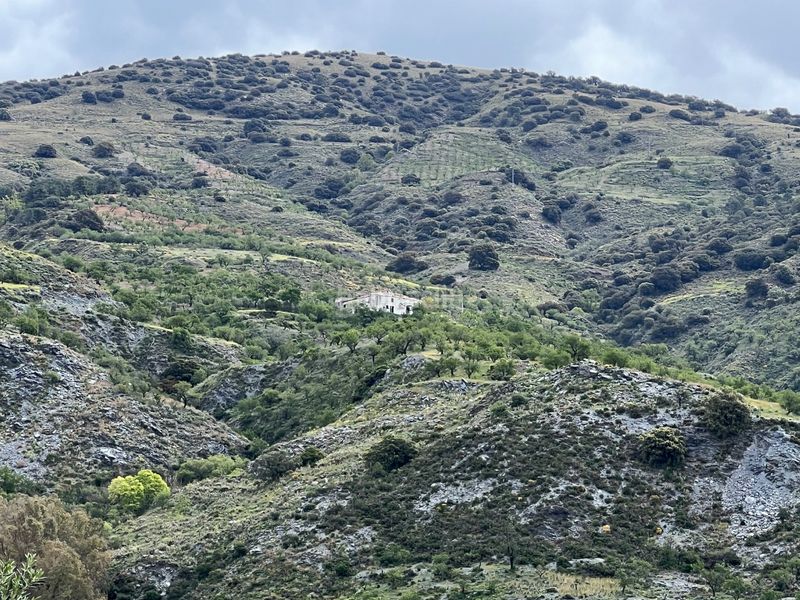 Foto 5c7149f5-e947-4261-b191-442d4ff1410e. Masia a real 10 a Rubite