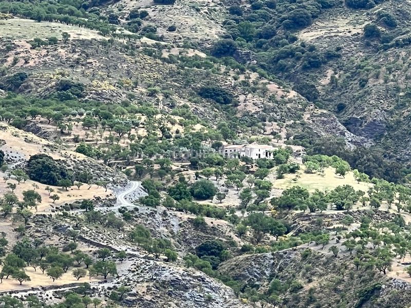 Foto abdd2321-78d7-4a50-82c5-bfc99641a61b. Masia a real 10 a Rubite