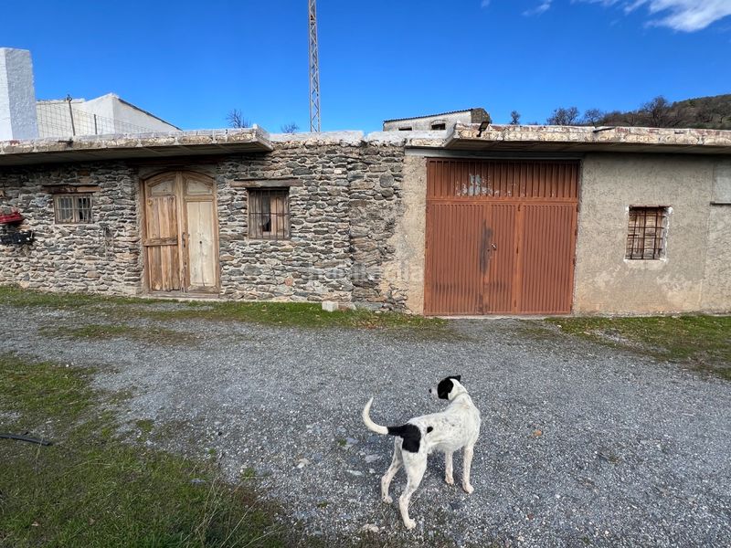 Foto cf57c09a-b7f4-49fb-aca1-81ab3b8bcba7. Masia a real 10 a Rubite