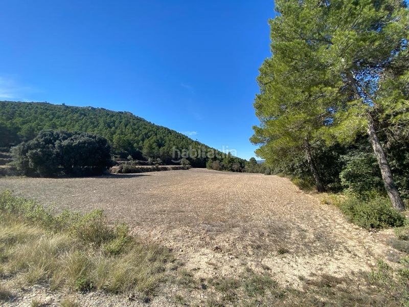 Foto ac6f00f9-0312-42ea-a391-dade9e5f67b3. Finca rústica a cv-785 8 a Centre-Zona Alta Alcoi