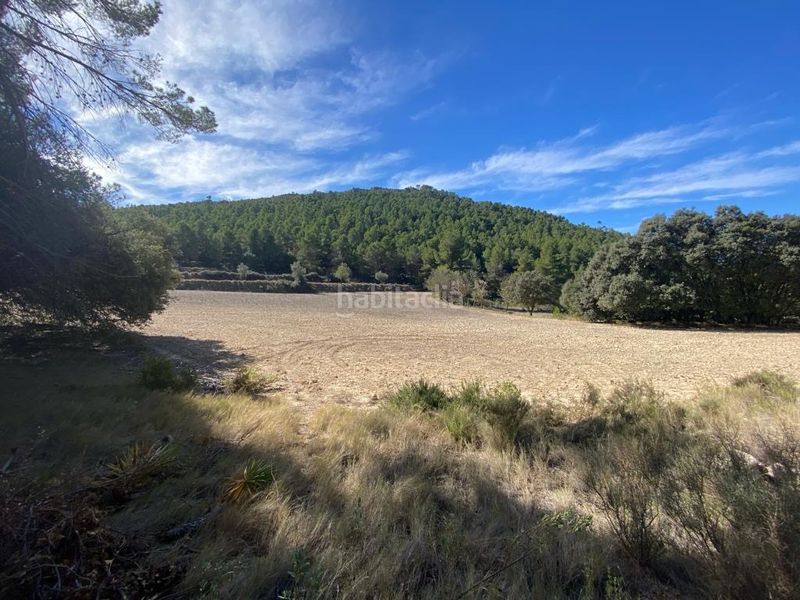 Foto eb224bc8-07de-4e99-94dd-dfb1850c6132. Finca rústica a cv-785 8 a Centre-Zona Alta Alcoi