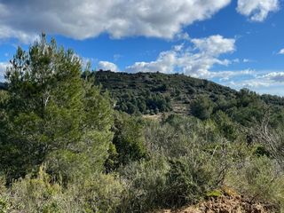 Propriété à N/a n/a. Venta de finca rústica