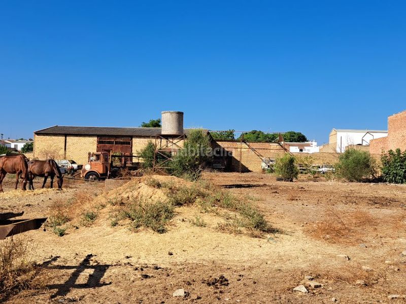 Foto 0b5b0c0f-f2bf-4a7c-b94e-497036106358. Area edificabile industriale in calle torno 20 in Pilas