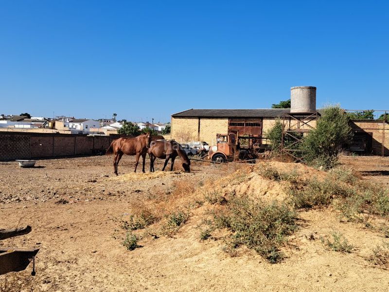 Foto 4ec976e1-b7fc-48cd-9dba-33350f71d386. Area edificabile industriale in calle torno 20 in Pilas