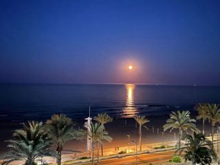 Location Appartement à Dr.severo ochoa  3. En primera línea de playa muchavista, ideal para teletrabajar fr