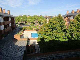 Rent Flat in Veronica 6. El cantizal