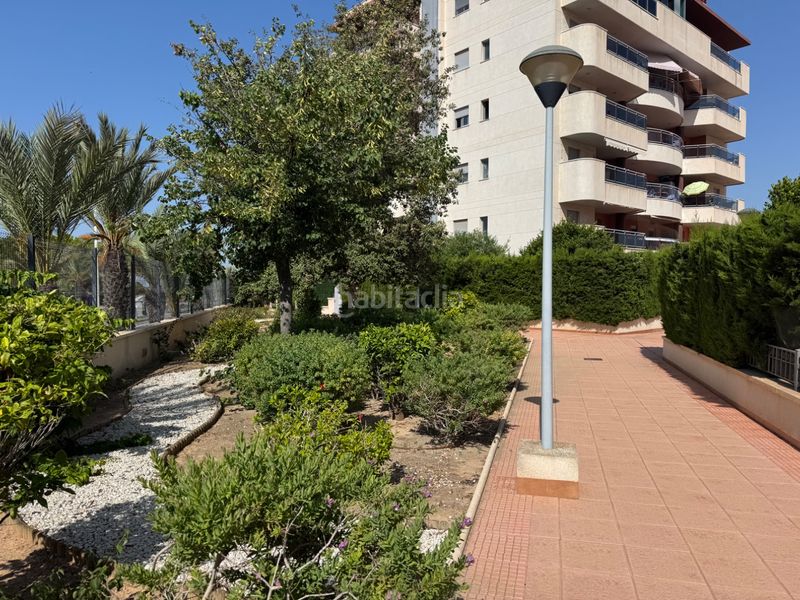 Foto 574fd519-bed9-4c05-811e-2799b3271e0d. Appartement in carrer gran vía 5 in Los Arenales del Sol Elche / Elx