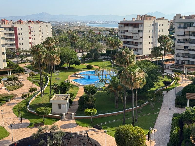 Foto b05b4dae-e57e-4100-b311-6c09dbaa3e8e. Appartement in carrer gran vía 5 in Los Arenales del Sol Elche / Elx