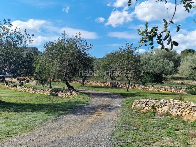 Foto 7c6065f1-d63e-4e78-812c-a2f00fb39ba2. Country house in zn diseminats 179 in Perelló (El)