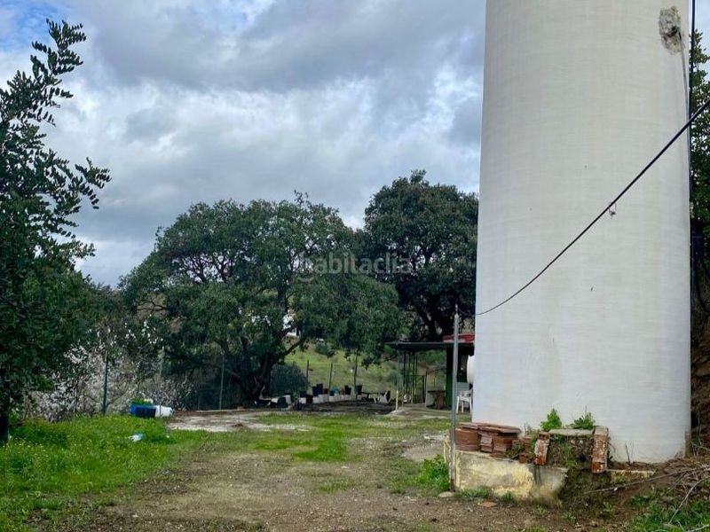 Foto b72cce2d-13bd-4aa8-a1a5-af3c8ceb935a. Finca rústica a lugar poligono 2 7 a Cártama
