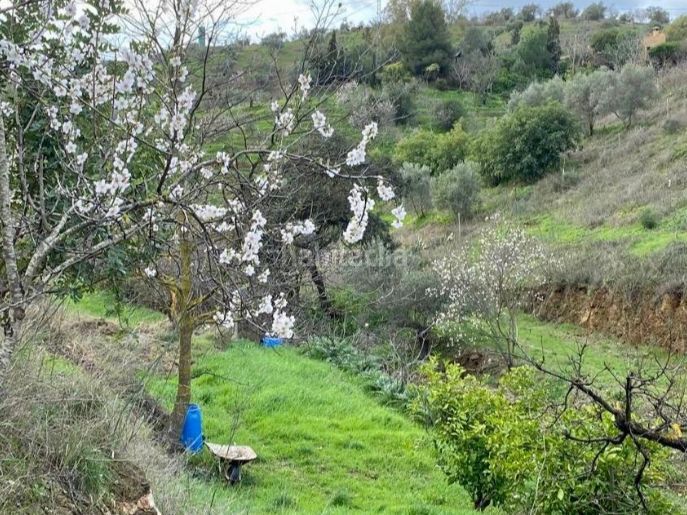 Foto f0f5c5e2-d2e2-43e1-b237-c5088497721b. Finca rústica a lugar poligono 2 7 a Cártama
