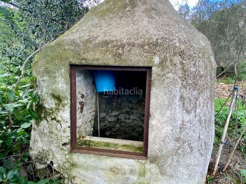 Foto f935536d-7f7d-492d-9f3e-15006356e7a6. Finca rústica a lugar poligono 2 7 a Cártama