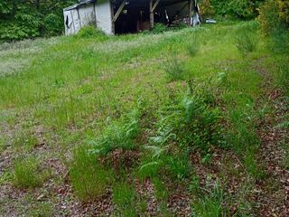 Fondo rustico in A peroxa 2. Finca  para construir casa