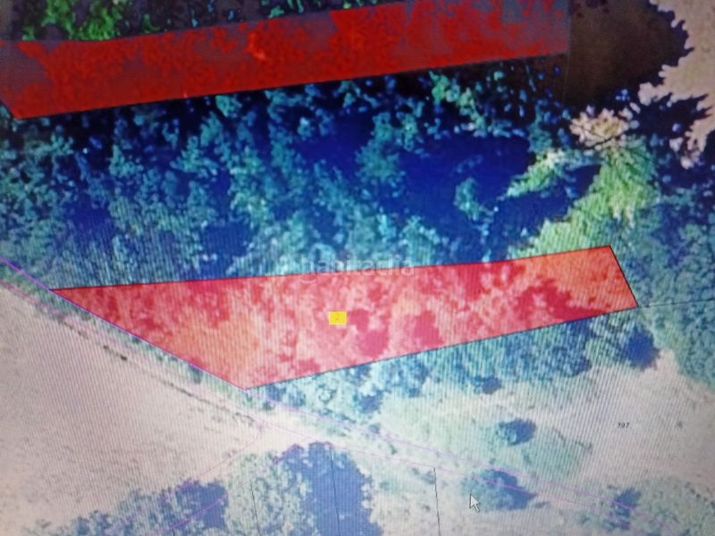 Foto 57f5379c-f3b1-4ecd-aa6a-c2d0e73a76cd. Finca rústica a a peroxa 2 a Peroxa (A)