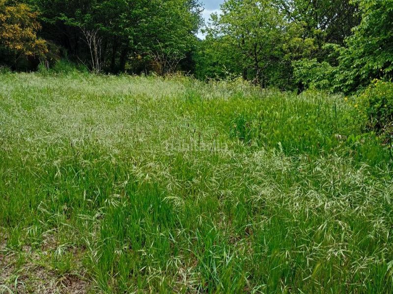Foto da3f2e3c-2003-45c1-88aa-ec9e07d0f678. Finca rústica a a peroxa 2 a Peroxa (A)