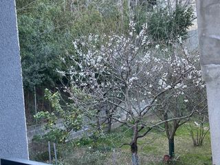 Lloguer Pis a Avda. sant jordi 23. Piso en alquiler obra nueva