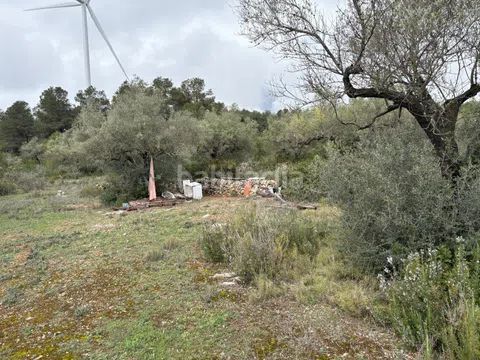 Foto 11c12563-d7aa-410a-99ef-0d2fd6f22066. Finca rústica a zn diseminats 35 a Perelló (El)