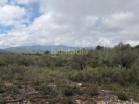 Foto 18ba03f0-99d5-404b-b430-b61a57185282. Finca rústica a zn diseminats 35 a Perelló (El)