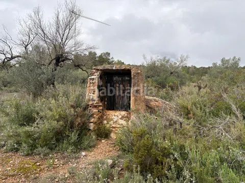 Foto 4356747c-3cc9-4090-9ffb-8724d1fe30a1. Finca rústica a zn diseminats 35 a Perelló (El)