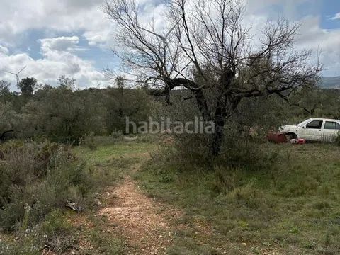 Foto d10acaac-b125-4bfc-aa39-13abf0600fe4. Finca rústica a zn diseminats 35 a Perelló (El)