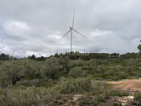 Foto f14b3dbb-caa9-4f28-9e1d-84046280ac9e. Finca rústica a zn diseminats 35 a Perelló (El)