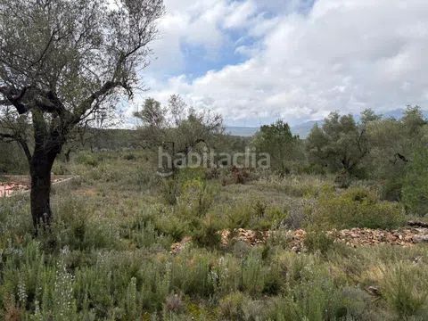 Foto f8267cbd-70a3-4946-9785-480aa1663446. Finca rústica a zn diseminats 35 a Perelló (El)