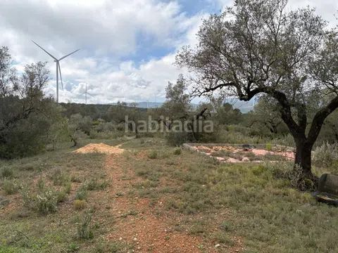 Foto f8c6a74a-03e3-45ea-9771-159578b76859. Finca rústica a zn diseminats 35 a Perelló (El)