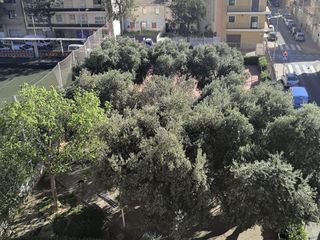 Location Appartement à Manuel dualde 4