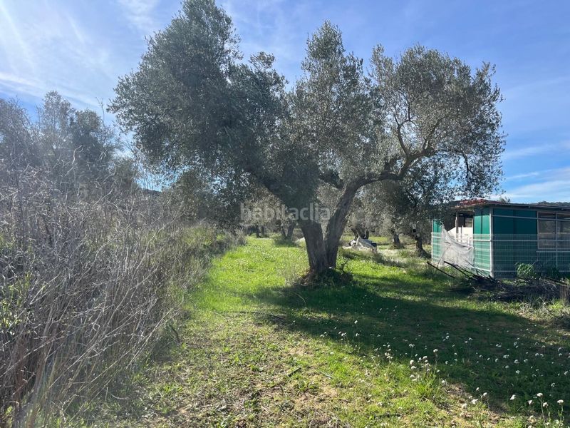 Foto 76425059-f95d-442e-bf78-dd4854ac6168. Finca rústica a calle maella 15 a Fabara