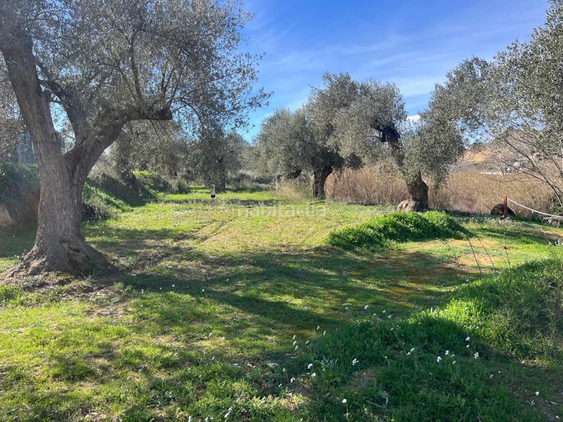 Foto a12e1681-1740-4b2c-96a7-fb78102369fe. Finca rústica a calle maella 15 a Fabara