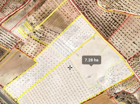 Foto 897e73c4-15a1-4a53-9b14-7665c4cac921. Finca rústica a carrer catalunya 1 a Borges Blanques (Les)