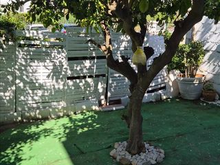 Casa a schiera in Joaquin rodrigo 5. ¡oferta flash! adosado con jardín y barbacoa a 10 min de la play