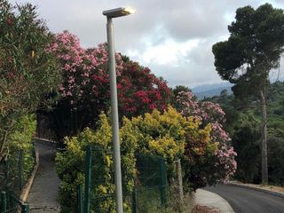 Erdgeschoss in Llorer 12. Planta baja con fabuloso jardín .