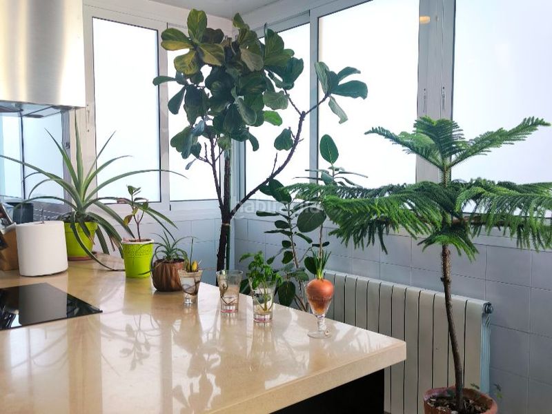 Foto 7588d85e-01d1-4aa1-b531-cbbaeb0a41d8. Penthouse in rius i taulet 23 in Llefià Badalona