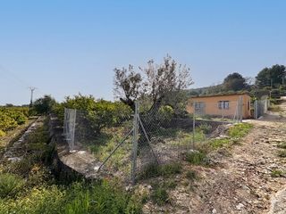 Masia a Camí dels plans 90. Casa legal con parcela de mandarinos