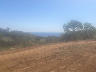 Landgut in Carrer mossen maria martinez 18. Terreno agrícola