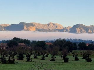 Semi detached house in Diseminado poligono 1 181. Propiedad única por dimensiones, calidades y vistas