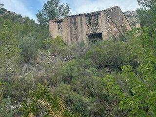 Rural plot in Carrer magarells 18. Finca rústica en venta en camí de pena s/n - tivissa