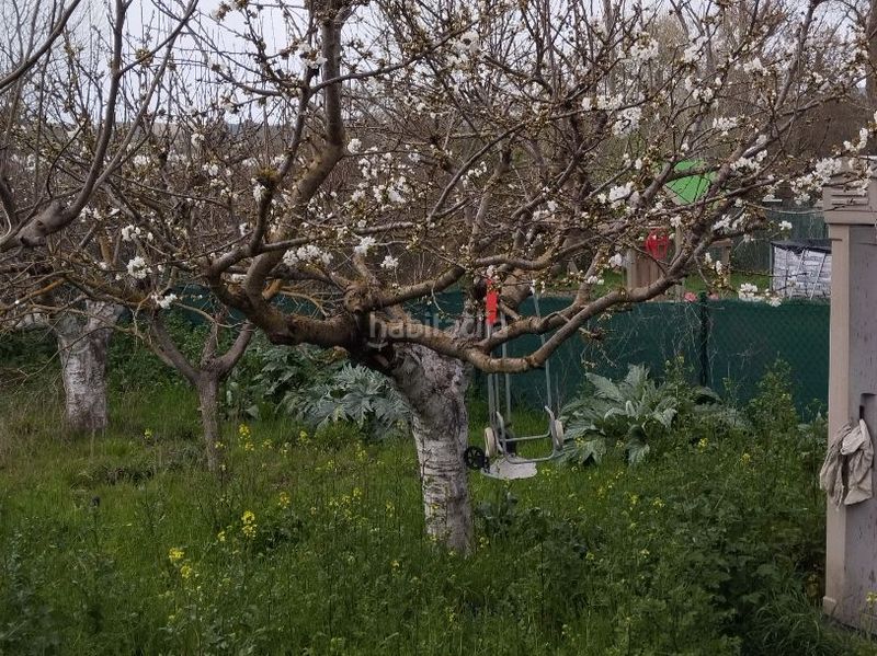 Foto e049c30a-49ad-42c5-b63b-49f2c64954fe. Finca rústica a calle la gorricha 22 a Mendigorria